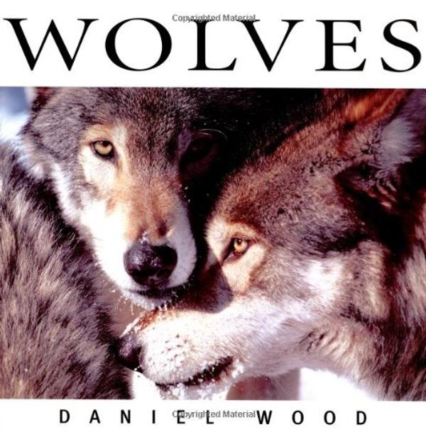 Cover Art for 9783895085802, Wolves by Daniel Wood