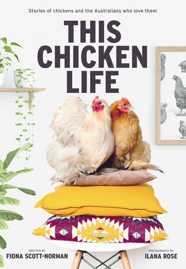 Cover Art for 9781760789589, This Chicken Life: Stories of chickens and the Australians who love them by Fiona Scott-Norman, Ilana Rose