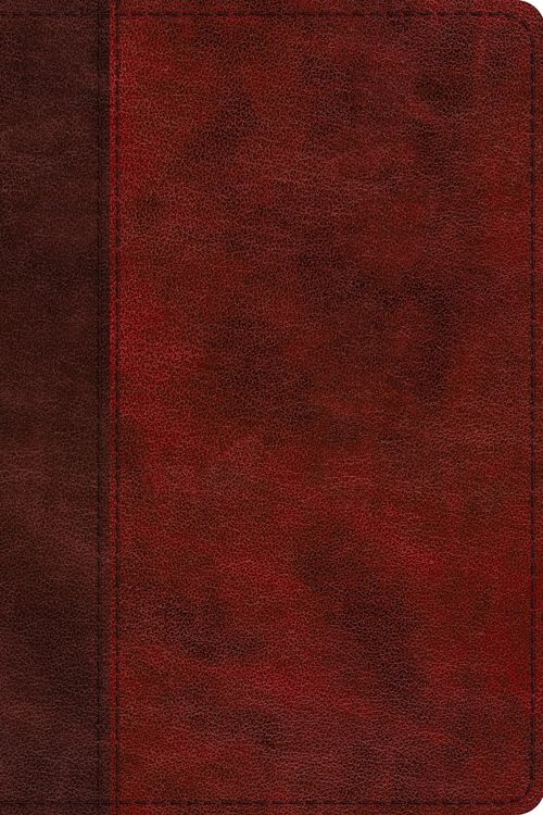 Cover Art for 9781433568732, ESV Single Column Journaling Bible, Large Print (Trutone, Burgundy/Red, Timeless Design) by Not Available