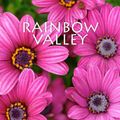 Cover Art for 1230000279791, Rainbow Valley by Lucy Maud Montgomery