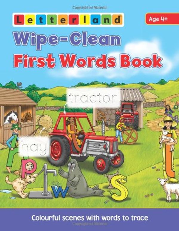 Cover Art for 9781862099791, Wipe Clean First Words Book: Wipe-Clean Scenes with Words to Trace by Lisa Holt
