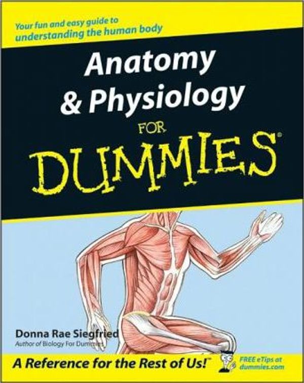 Cover Art for 9781118053829, Anatomy & Physiology For Dummies by Donna Rae Siegfried
