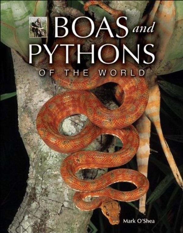 Cover Art for 9780691131009, Boas and Pythons of the World by Mark O'Shea