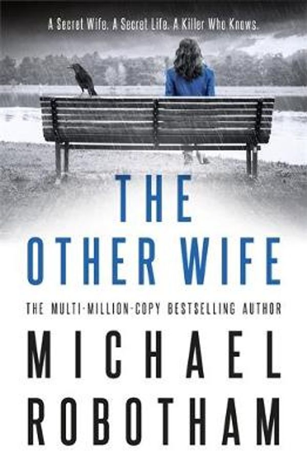 Cover Art for 9780751562811, The Other Wife (Joseph O'Loughlin) by Michael Robotham