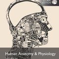 Cover Art for 9781292112336, Human Anatomy & Physiology by Erin C. Amerman