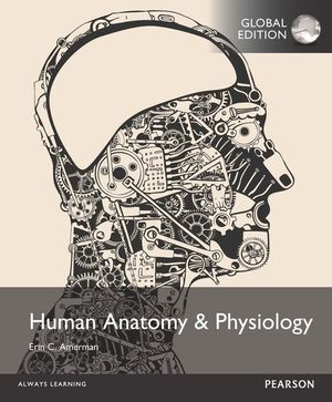 Cover Art for 9781292112336, Human Anatomy & Physiology by Erin C. Amerman