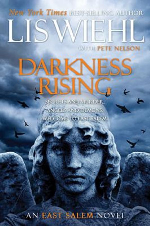 Cover Art for 0020049137840, Darkness Rising by Pete Nelson