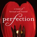 Cover Art for 9781401394448, Perfection by Julie Metz