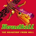 Cover Art for 9780006513056, Florida Roadkill by Tim Dorsey
