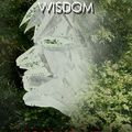 Cover Art for 9781782792543, Shamanic Plant Medicine - San PedroThe Gateway to Wisdom by Ross Heaven