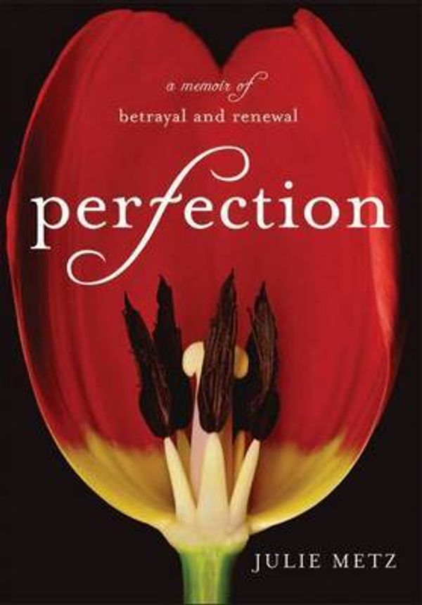 Cover Art for 9781921372797, Perfection by Julie Metz