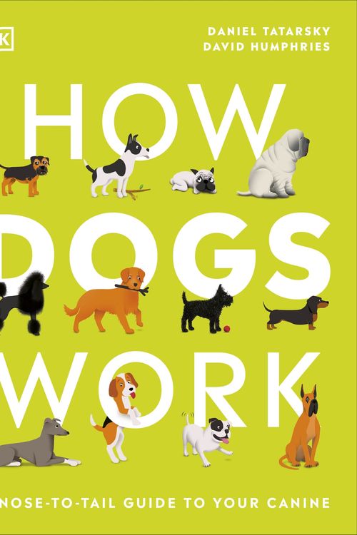 Cover Art for 9780241471197, How Dogs Work: A Head-to-Tail Guide to Your Canine by Daniel Tatarsky