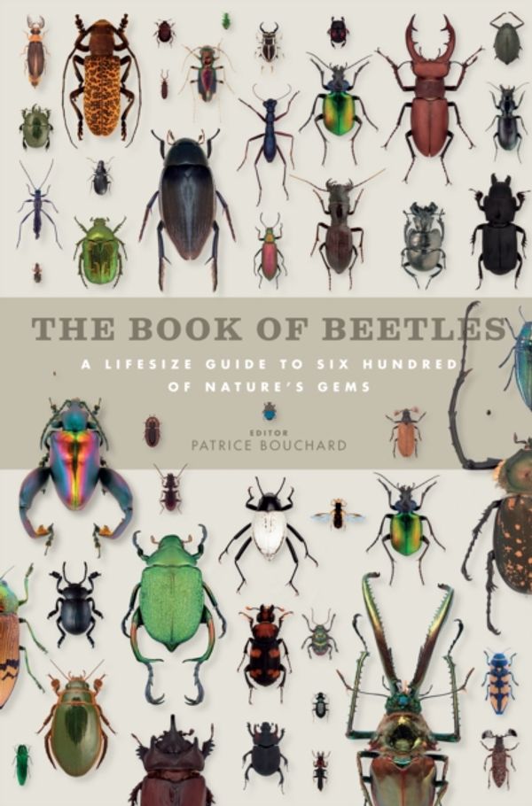 Cover Art for 9781782400493, The Book of Beetles: A life-size guide to six hundred species from around the world (Book Of Series) by Patrice Bouchard