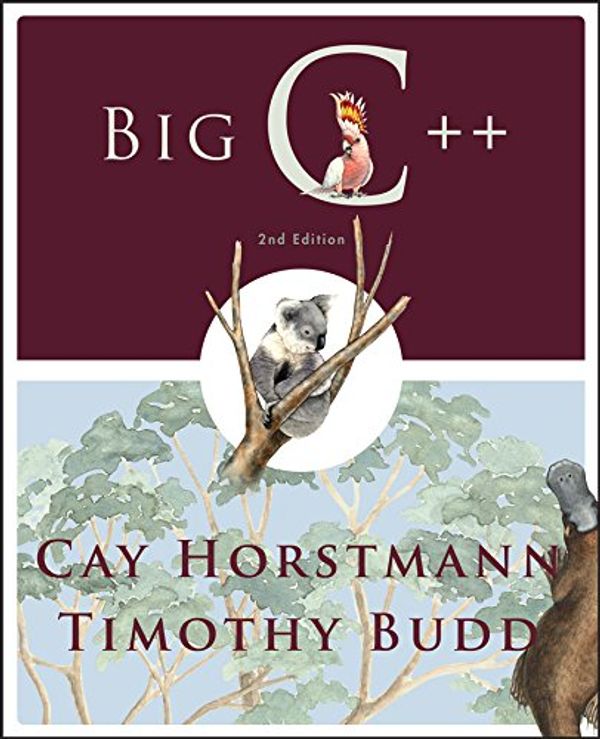 Cover Art for 9780470383285, Big C++ by Cay S. Horstmann, Timothy A. Budd
