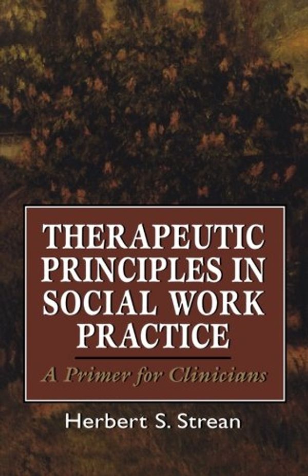 Cover Art for 9781568211374, Therapeutic Principles in Social Work Practice by Herbert S. Strean