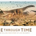 Cover Art for 9780241426395, Life Through Time: A Four-Billion-Year Journey Exploring Life on Earth by John Woodward