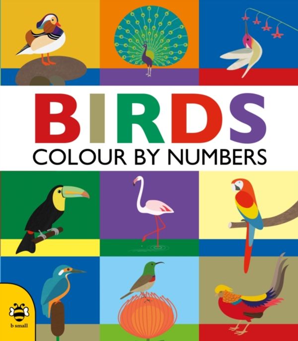 Cover Art for 9781909767812, Birds (Colour by Numbers) by Sam Hutchinson