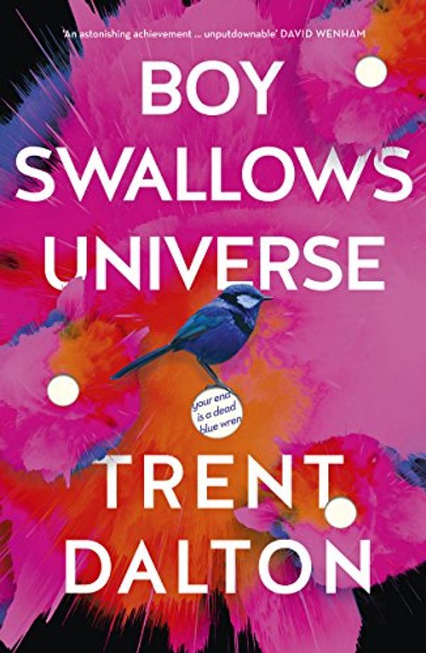 Cover Art for B078QRFRZX, Boy Swallows Universe by Trent Dalton