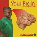 Cover Art for 9780736811477, Your Brain (Bridgestone Science Library: Your Body) by Terri DeGezelle