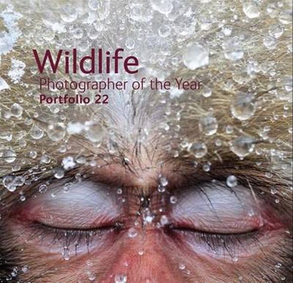Cover Art for 9780565093174, Wildlife Photographer of the Year Portfolio 22: Portfolio 22 by Rosamund Kidman Cox