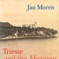 Cover Art for 8601405693488, Trieste and the Meaning of Nowhere by Jan Morris
