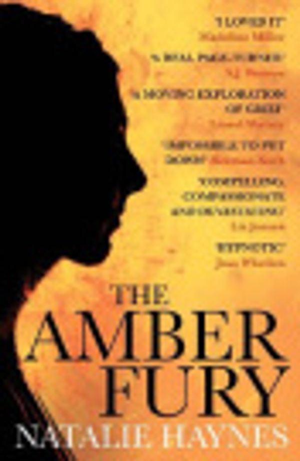 Cover Art for 9781782393818, The Amber Fury by Natalie Haynes