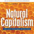 Cover Art for 9781134033065, Natural Capitalism: The Next Industrial Revolution by Paul Hawken