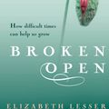 Cover Art for 9781407060989, Broken Open: How difficult times can help us grow by Elizabeth Lesser