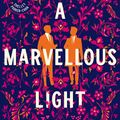 Cover Art for 9781529080902, A Marvellous Light by Freya Marske