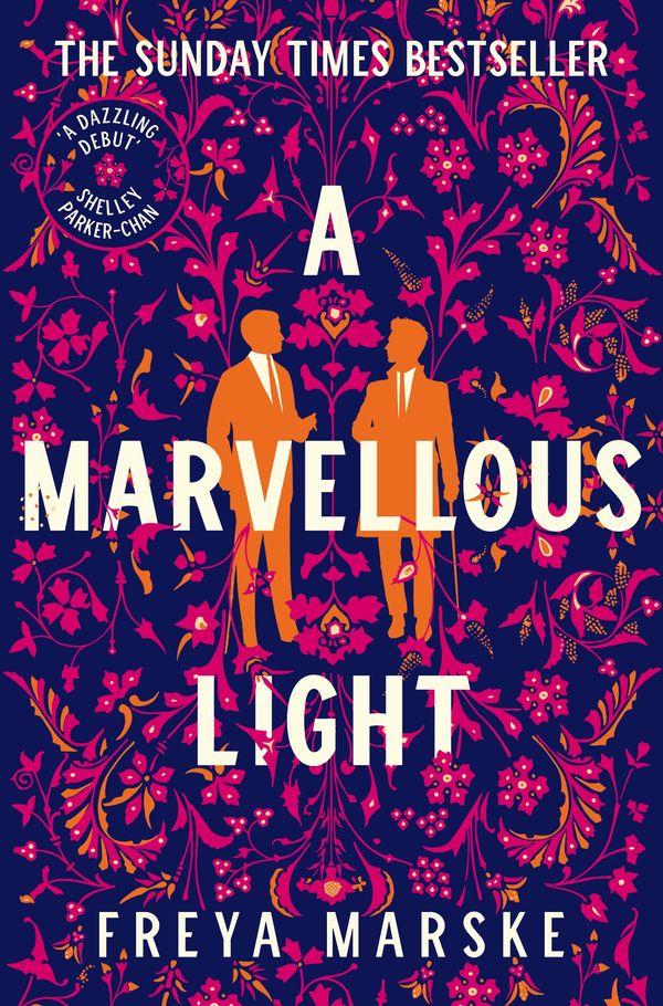 Cover Art for 9781529080902, A Marvellous Light by Freya Marske