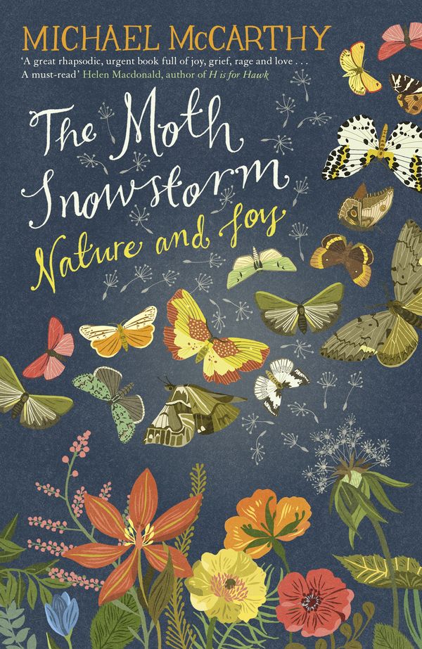 Cover Art for 9781444792782, The Moth Snowstorm: Nature and Joy by Michael McCarthy