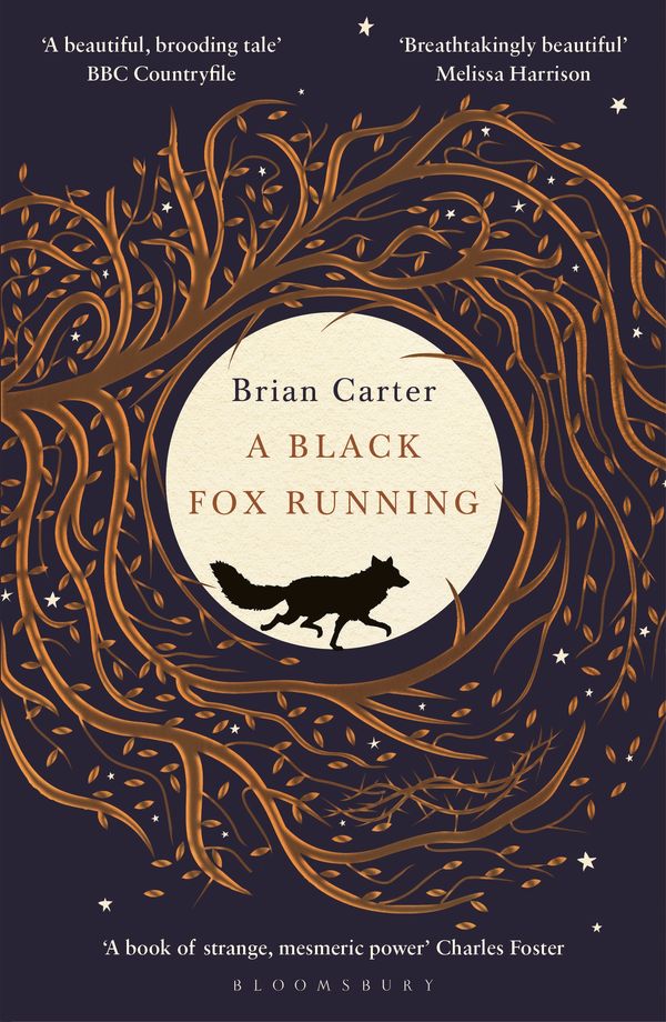 Cover Art for 9781408896129, A Black Fox Running by Brian Carter