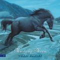 Cover Art for 9780061890109, Phantom Stallion #2: Mustang Moon by Terri Farley