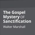 Cover Art for 9781626309975, The Gospel Mystery of Sanctification by Walter Marshall