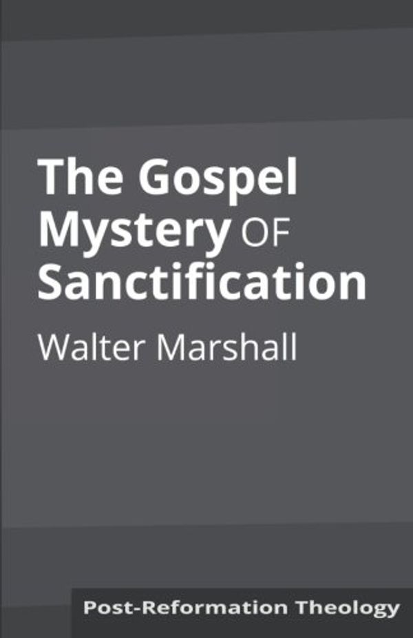 Cover Art for 9781626309975, The Gospel Mystery of Sanctification by Walter Marshall