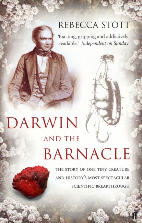 Cover Art for 9780571317790, Darwin and the Barnacle by Rebecca Stott