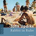 Cover Art for 9783499134005, Rabbit in Ruhe by John Updike