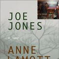 Cover Art for 9781565118249, Joe Jones by Anne Lamott