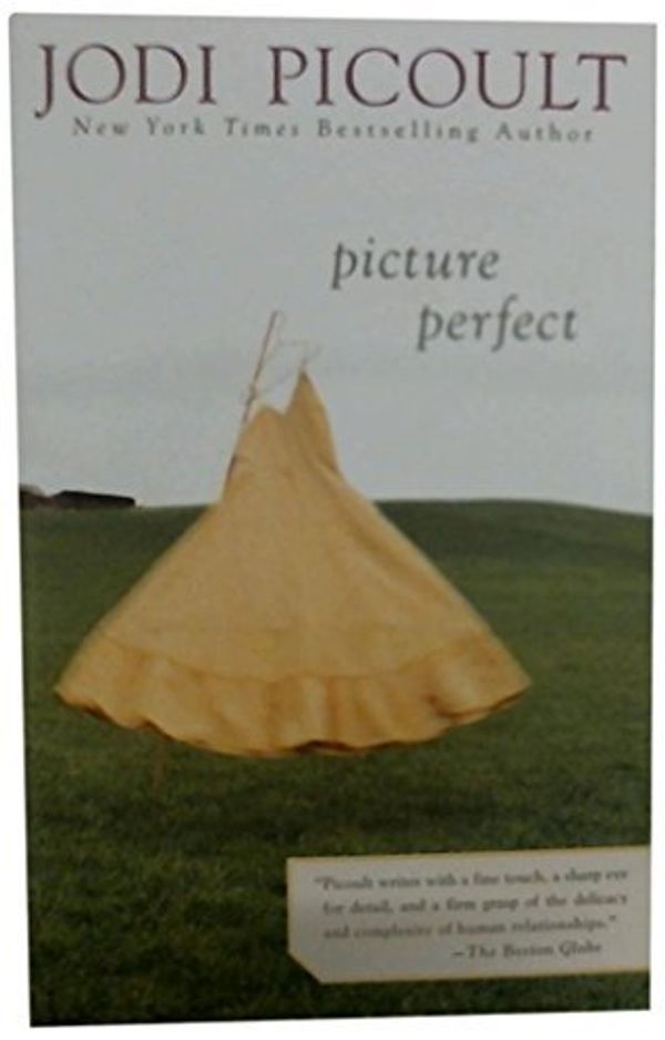 Cover Art for B01K3OA0I4, Picture Perfect by Jodi Picoult