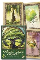 Cover Art for 9780738754314, Celtic Tree Oracle by Sharlyn Hidalgo