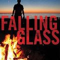 Cover Art for 9781441769688, Falling Glass by Adrian McKinty