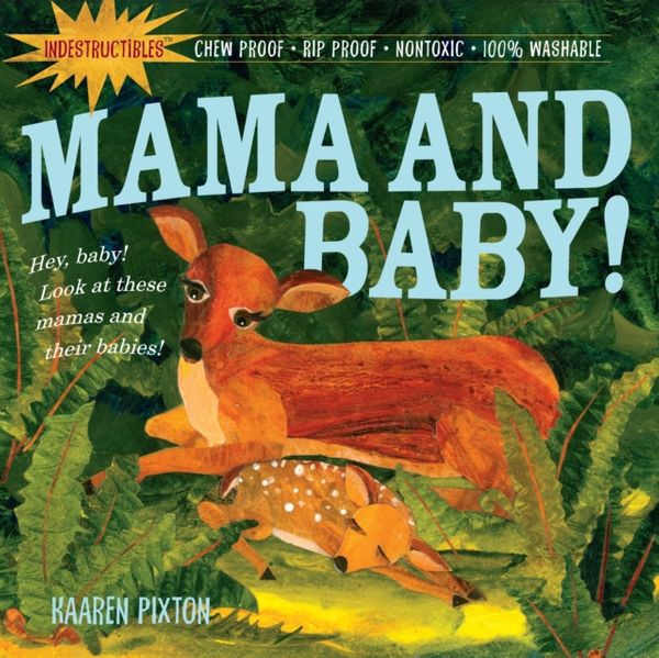 Cover Art for 9780761158592, Mama and Baby! by Kaaren Pixton