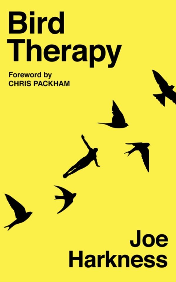Cover Art for 9781783527724, Bird Therapy by Joe Harkness