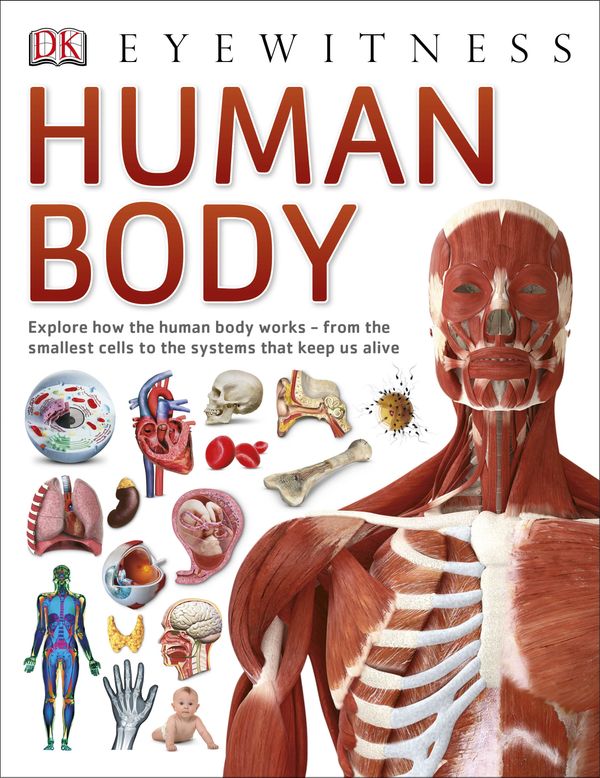 Cover Art for 9780241013618, Human Body (Eyewitness) by Dk