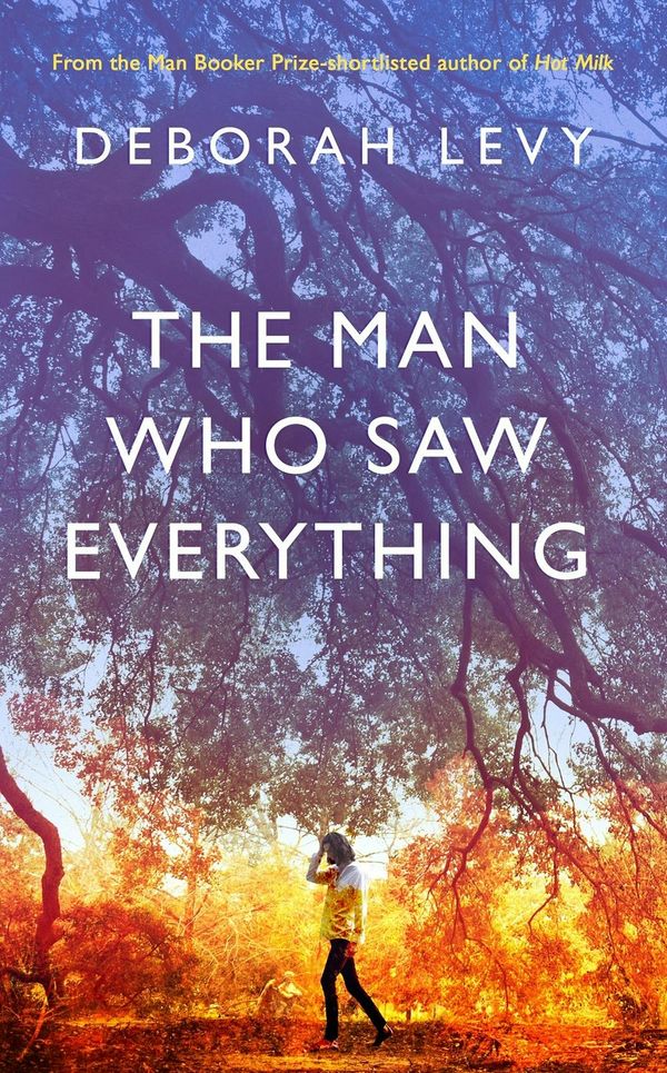 Cover Art for 9780241268025, The Man Who Saw Everything by Deborah Levy