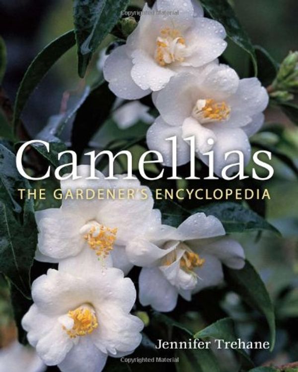 Cover Art for 9780881928488, Camellias by Jennifer Trehane