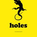 Cover Art for 9781408865231, Holes by Louis Sachar