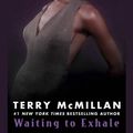 Cover Art for 9781101210338, Waiting to Exhale by Terry McMillan