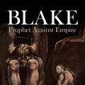 Cover Art for 9780486143903, Blake by David V. Erdman