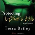 Cover Art for 9781493780440, Protecting What's His by Tessa Bailey